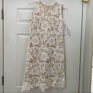 NWT Dressbarn white illusion lace dress